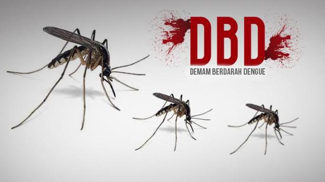 Selama 2022, 44 anak meninggal akibat Demam Berdarah Dengue
