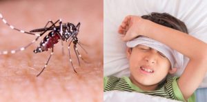 Update Kasus DBD : 3.465 teridentifikasi dan 39 meninggal