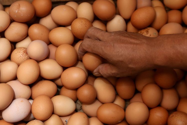 Group FHK impor 10.800 rak telur dari Malaysia