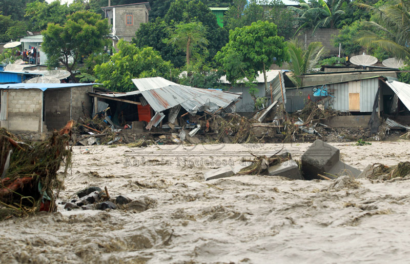 Setahun Badai Siklon Seroja, SEPS hargai bantuan mitra internasional-nasional