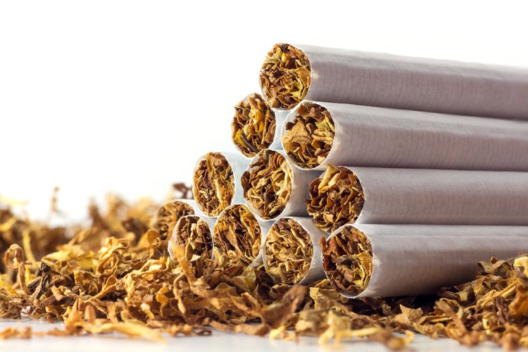 ANCT-TL minta AIFAESA dan PNTL intensif kontrol impor tembakau ilegal