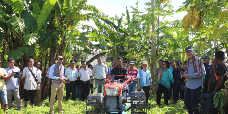 Pemerintah dan Mitra dukung kelompok tani di Manufahi tingkatkan pertanian konservasi