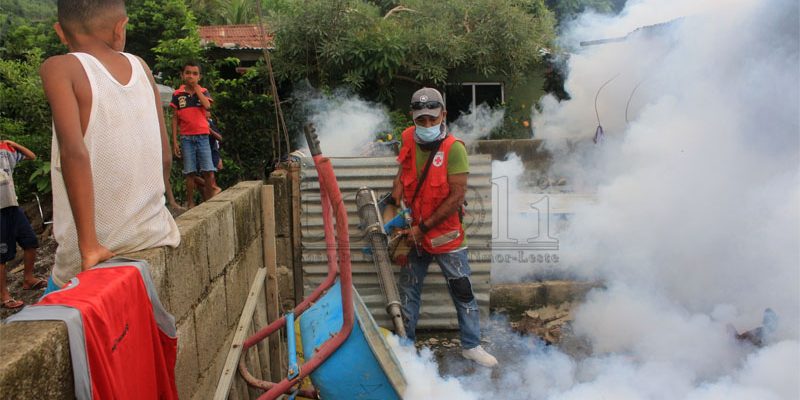 Selama januari 2023, terdapat 17 kasus Dengue di Dili