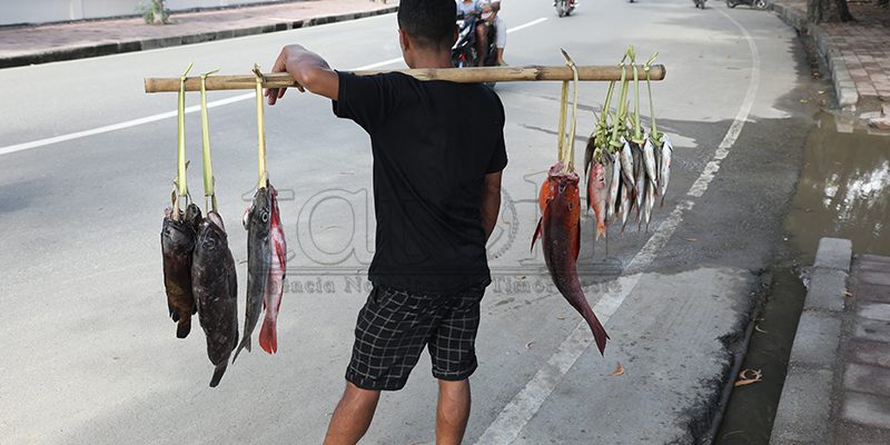 MAPPF jamin masyarakat Timor-Leste konsumsi ikan 10 Kg setiap tahun
