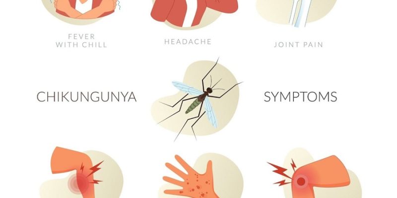 20 pasien diduga terinfeksi virus Chikungunya di Timor-Leste