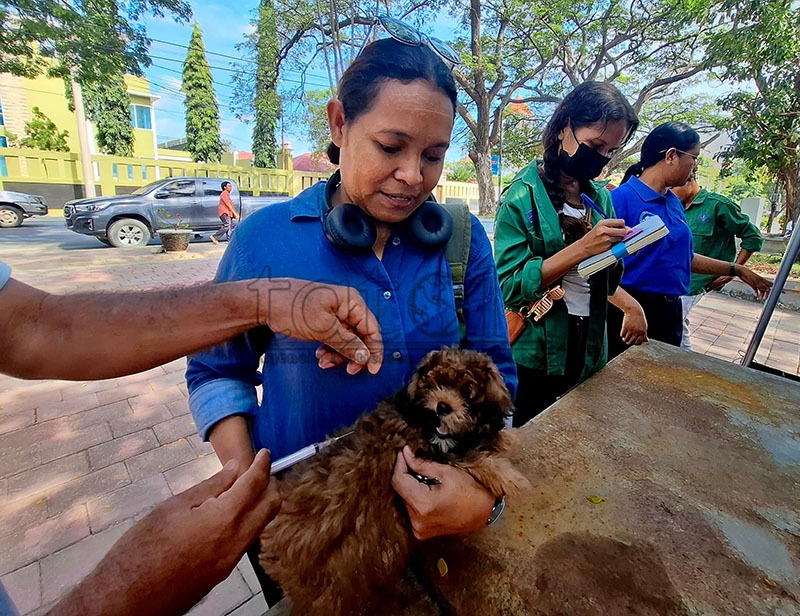 Cegah Rabies meluas, Masyarakat diminta bawa anjing ke Posko Vaksin   