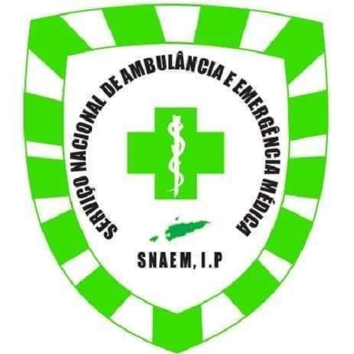 SNAEM dukung 28 tenaga kesehatan dan tiga ambulans selama kunjungan Salib OMK