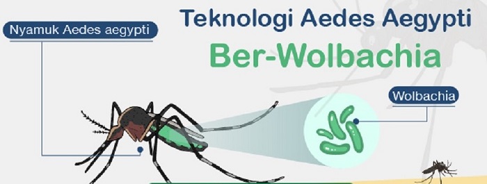 08 Agustus, Kemenkes – Menzies luncurkan metode ber-Wolbachia di Timor-Leste