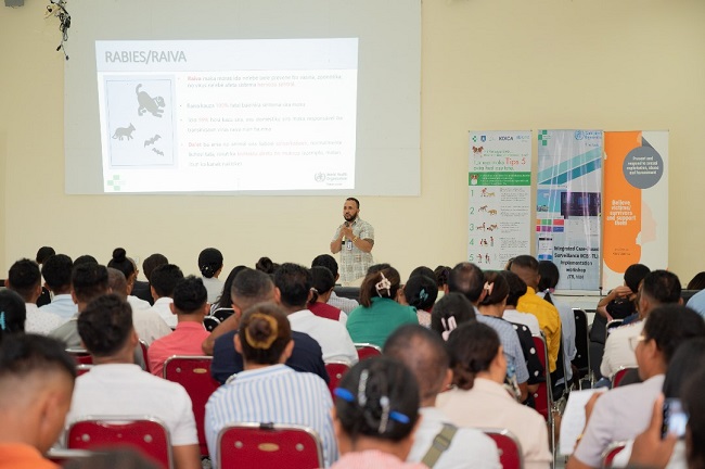 Cegah rabies, Kemenkes – WHO beri pelatihan pada 500 tenaga kesehatan  