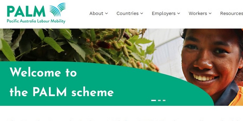 Timor-Leste jadi penyumbang kedua terbesar tenaga kerja program PALM di Australia