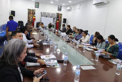 Pemerintah dan PBB perkuat koordinasi implementasi kebijakan desentralisasi di Timor-Leste