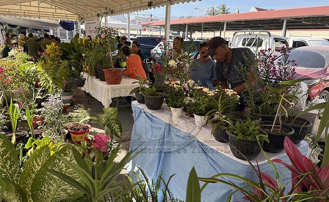 Mini Expo Florikultura : Jepang dukung pelestarian tanaman bunga asli Timor-Leste