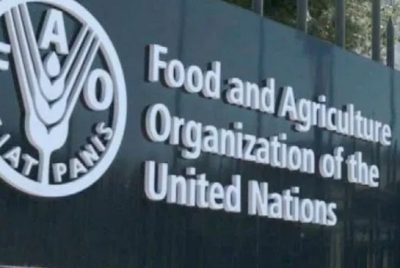 FAO serukan kekhawatiran keamanan pangan terkait penggunaan plastik daur ulang  