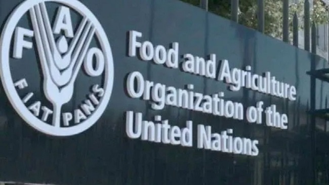 FAO serukan kekhawatiran keamanan pangan terkait penggunaan plastik daur ulang  