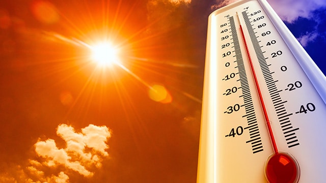 Suhu makin panas, WMO prediksi Fenomena El Niño muncul lagi di penghujung 2026
