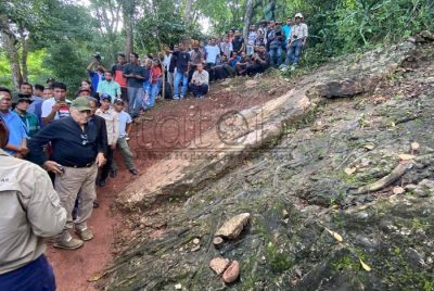 BBC dokumentasikan Fosil Lesululi, IGTL pertahankan kondisi alami lokasi